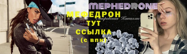 шишки Белокуриха