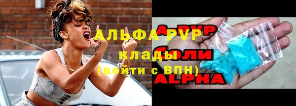 шишки Белокуриха
