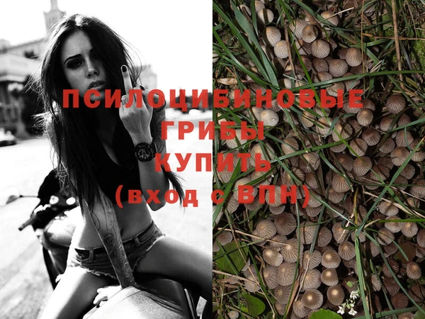 меф Беломорск