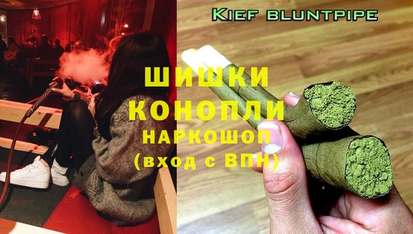 шишки Белокуриха