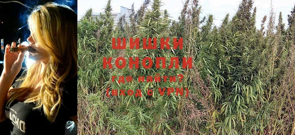 шишки Белокуриха