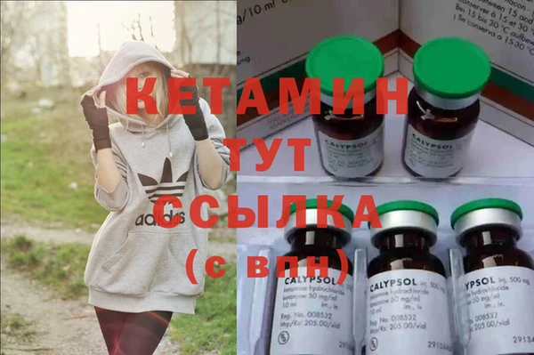 шишки Белокуриха