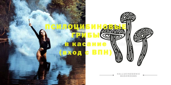 шишки Белокуриха