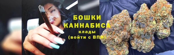 шишки Белокуриха