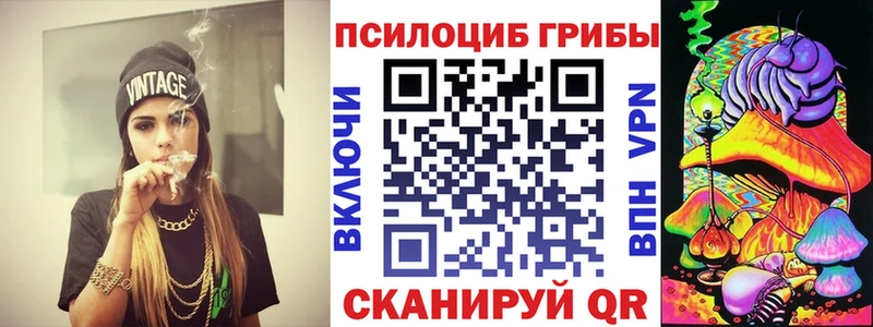 как найти наркотики  Котово  сайты даркнета официальный сайт  Псилоцибиновые грибы Cubensis 